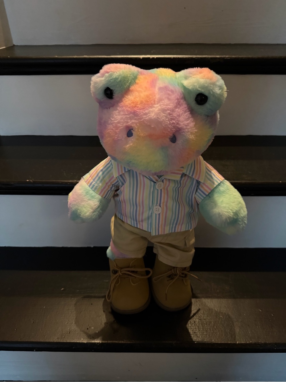 Build a bear rainbow clouds frog with outfit